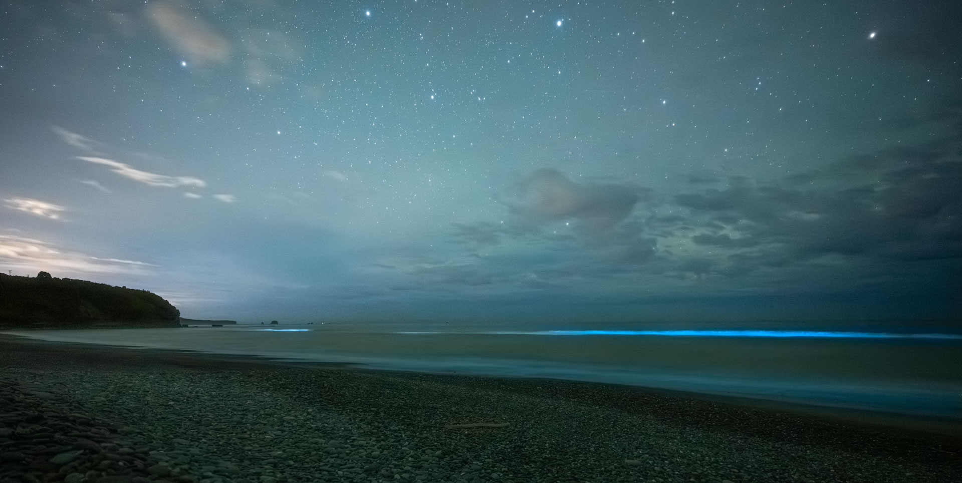 Playing in bioluminescent sea with Nicole