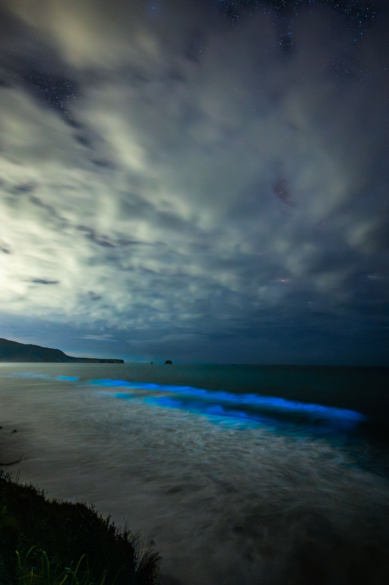Bioluminescent algae bloom on the coast road