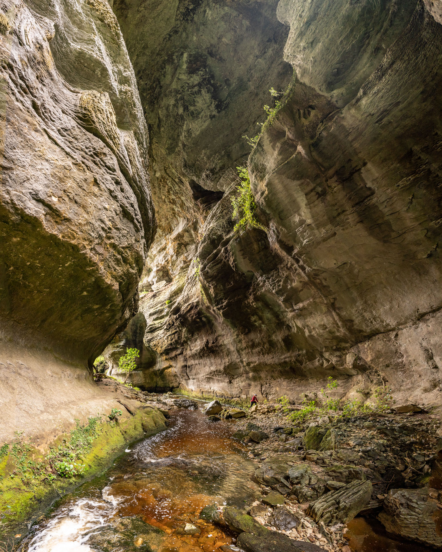 Hole in the Hill cavern near Charleston