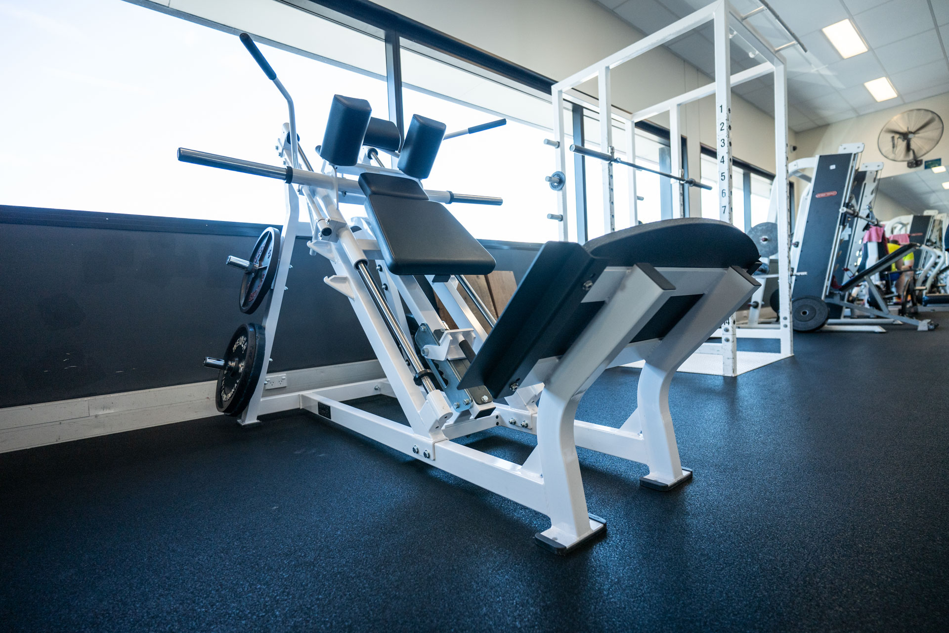 Personal trainer branding photography