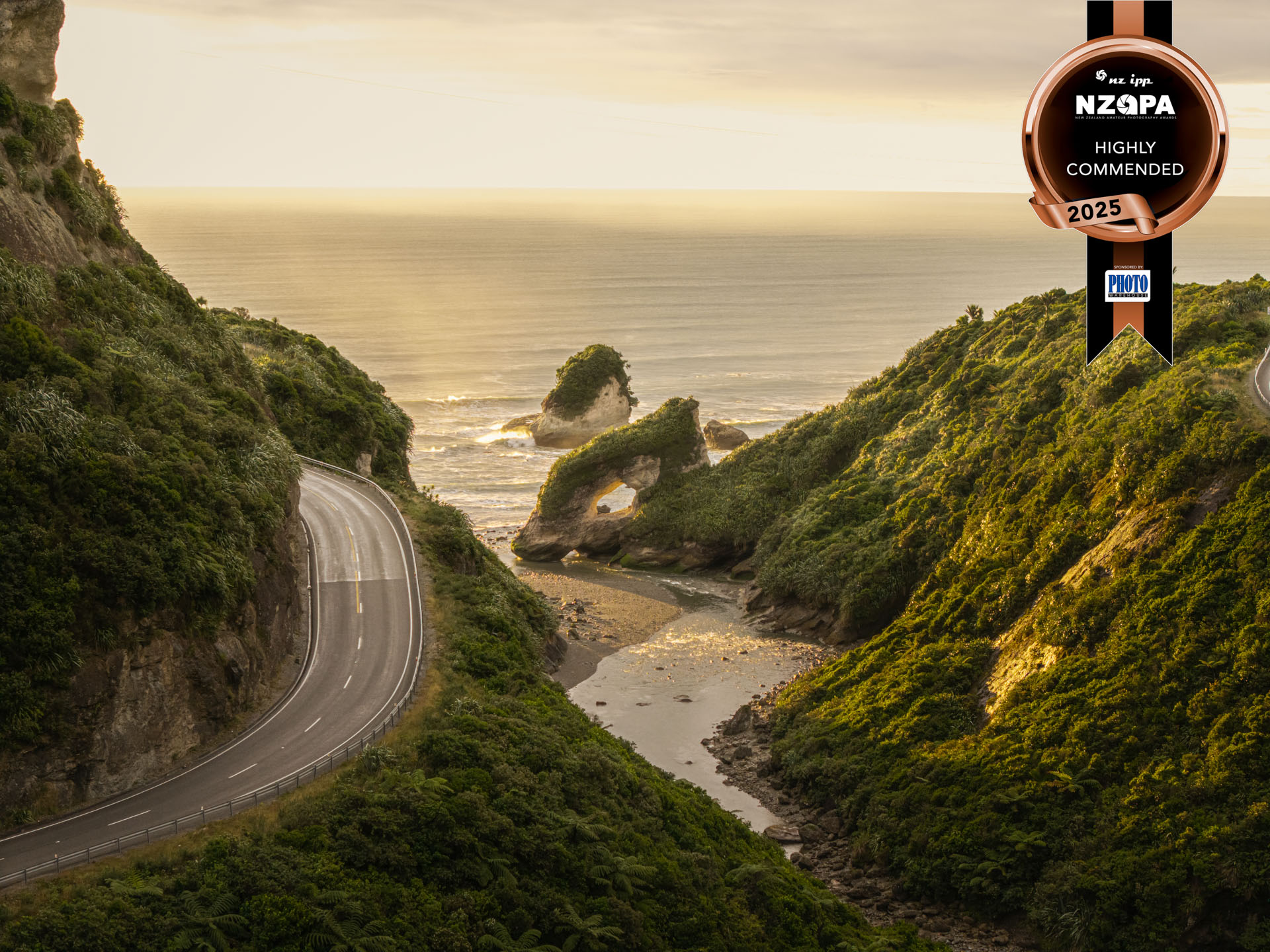 NZAPA 2025 West Coast road and coastal cliffs